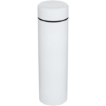 Taylor 450 ml dubbelwandige roestvrijstalen fles met theefilter