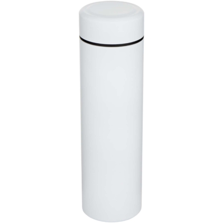 Taylor 450 ml dubbelwandige roestvrijstalen fles met theefilter