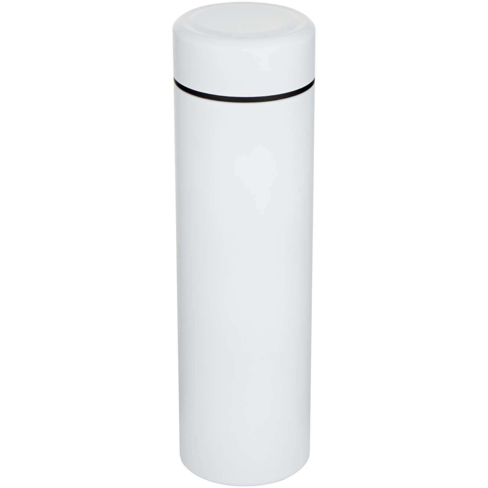Taylor 450 ml dubbelwandige roestvrijstalen fles met theefilter